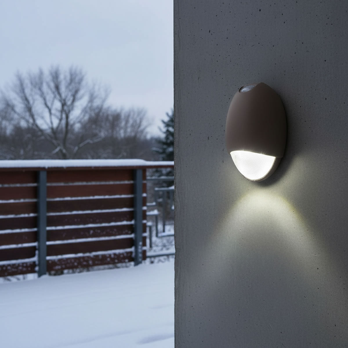 LED Decorative Outdoor AC or Emergency Light Cold Weather Design - Self Diagnostic - 90 Min. Emergency Runtime