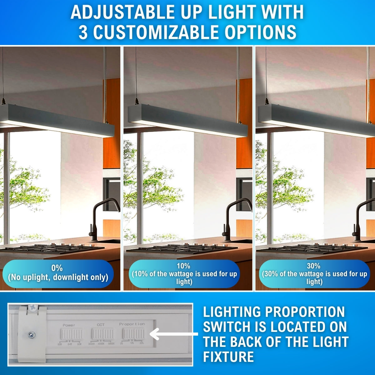 infographic noting the different lighting options of the linear light