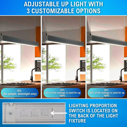 infographic noting the different lighting options of the linear light