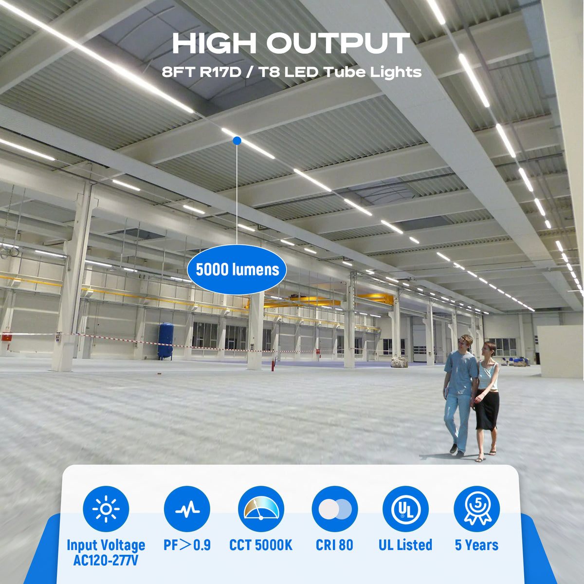 8' led tubes home depot