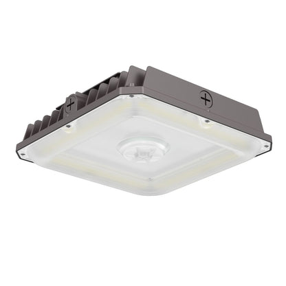 LED Canopy Light