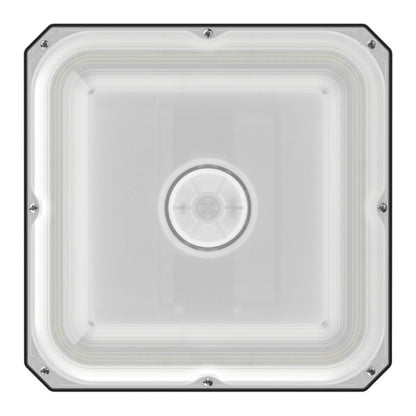 LED canopy light