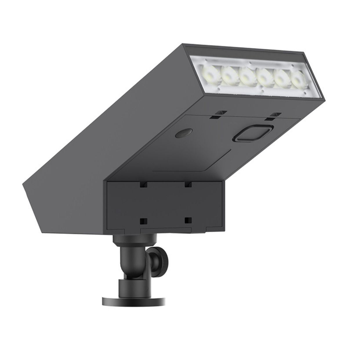 Solar LED Flag or Pathway Spot Light - 500 Lumens - 3000K - Black Finish - LumeGen