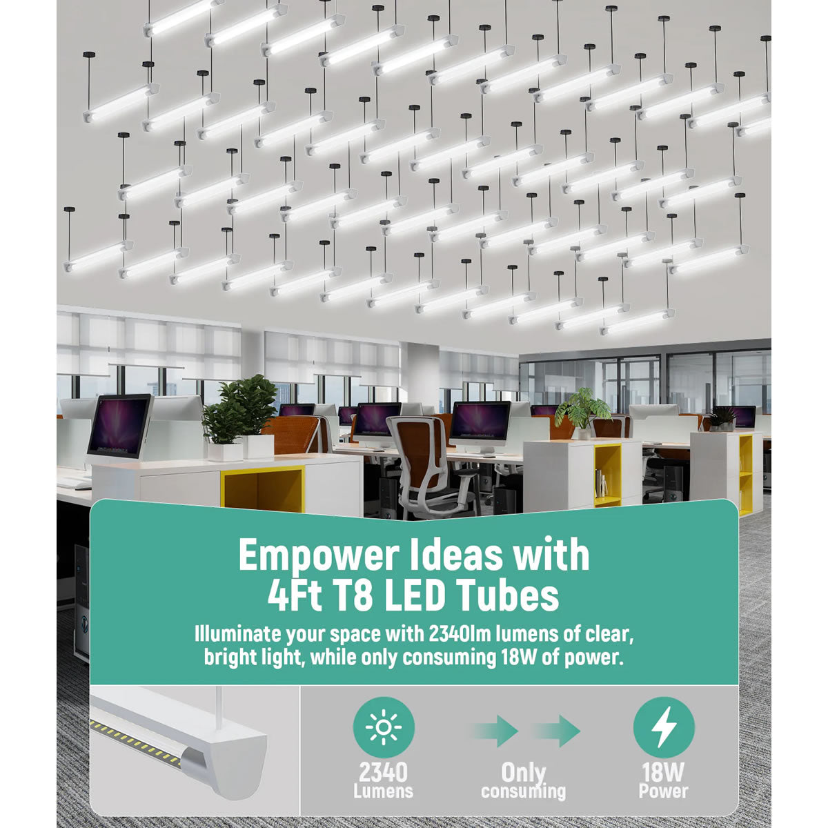 LED Glass Tube Type B 120-277V 2100/2250 Lumens UL Listed | 15W/18W 4FT Clear/Milky