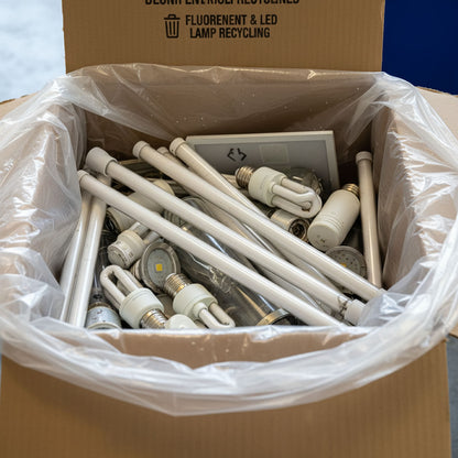 2ft Mixed Lamps Recycling Box