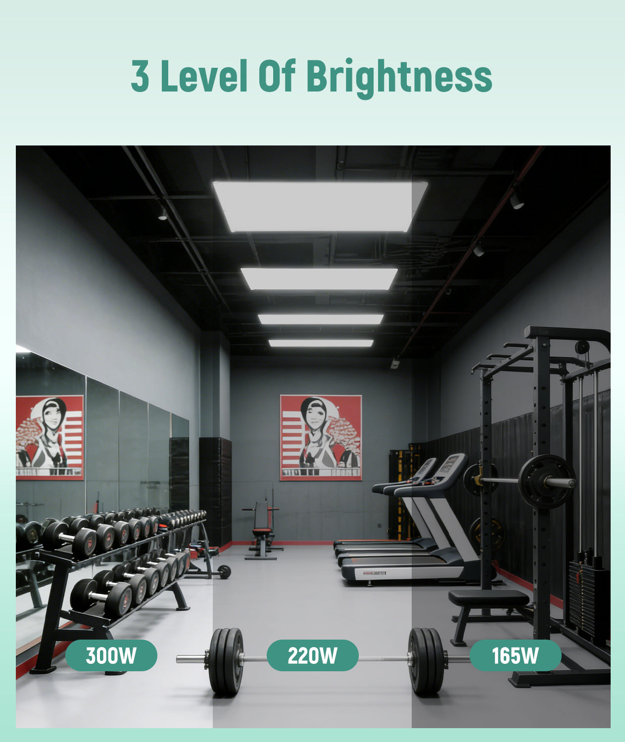 LED Linear High Bay - 2ft - 42,000 Lumen Max - Wattage Adjustable 300W/275W/255W - Color Tunable 40K/50K - Sensor Base