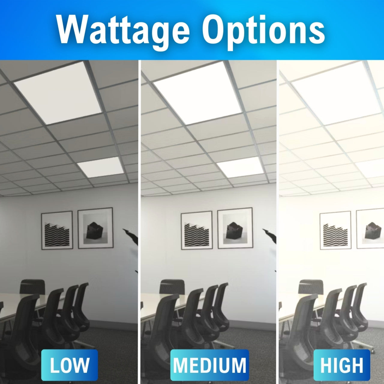 Case of 2 - 2x4 LED Flat Panel Light with Emergency Driver - 5 Wattage Adjustable - 5 Color Tunable  - LumeGen
