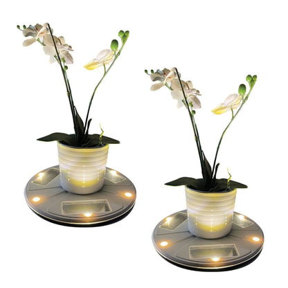 2-Pack - Solar LED Uplight Planter Base - Gama Sonic
