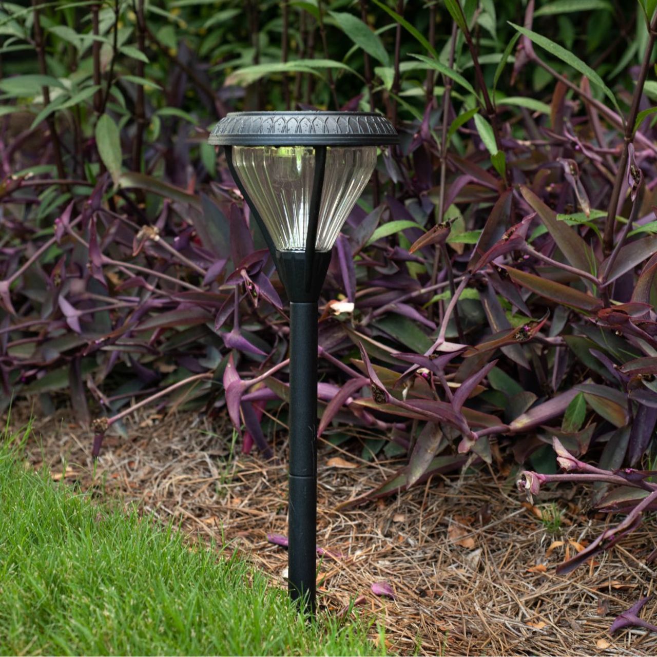 2-Pack Solar LED Premier Garden Stake Light - 50 Lumens - 3000K - Black Finish - Gama Sonic