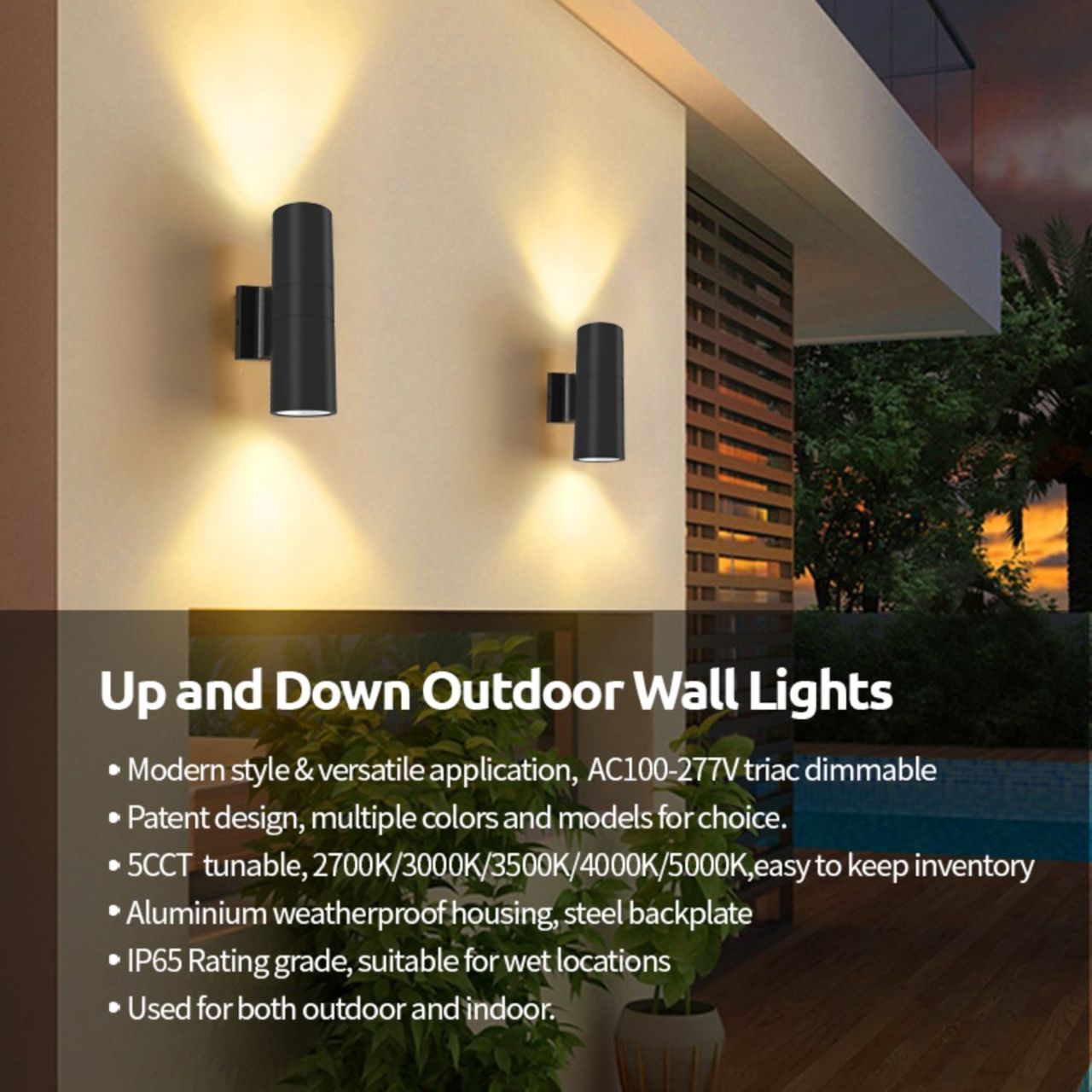 LED Up/Down Cylinder Wall Light | Color Tunable | Black Finish