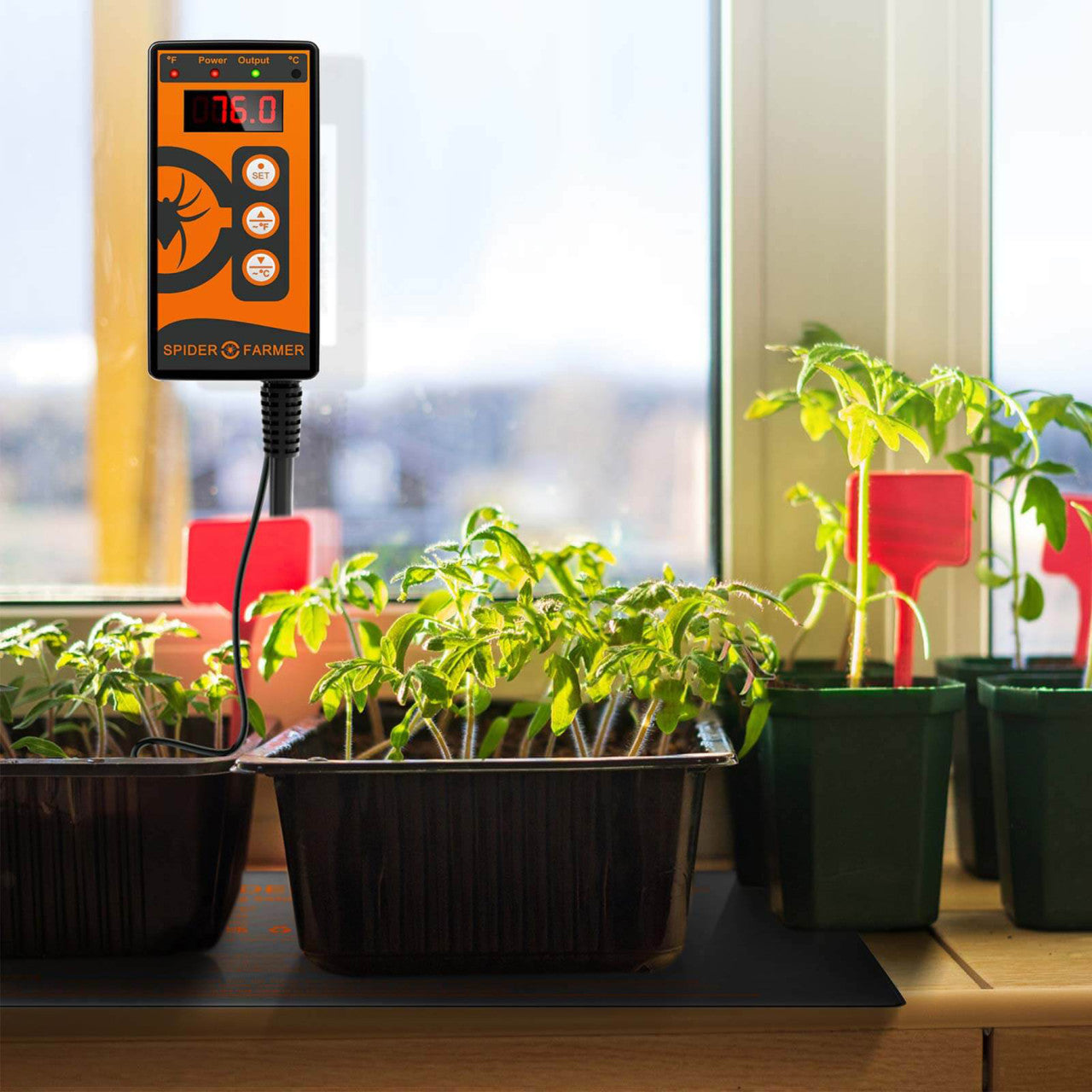 grow kit accessory aiding in the growth of plants