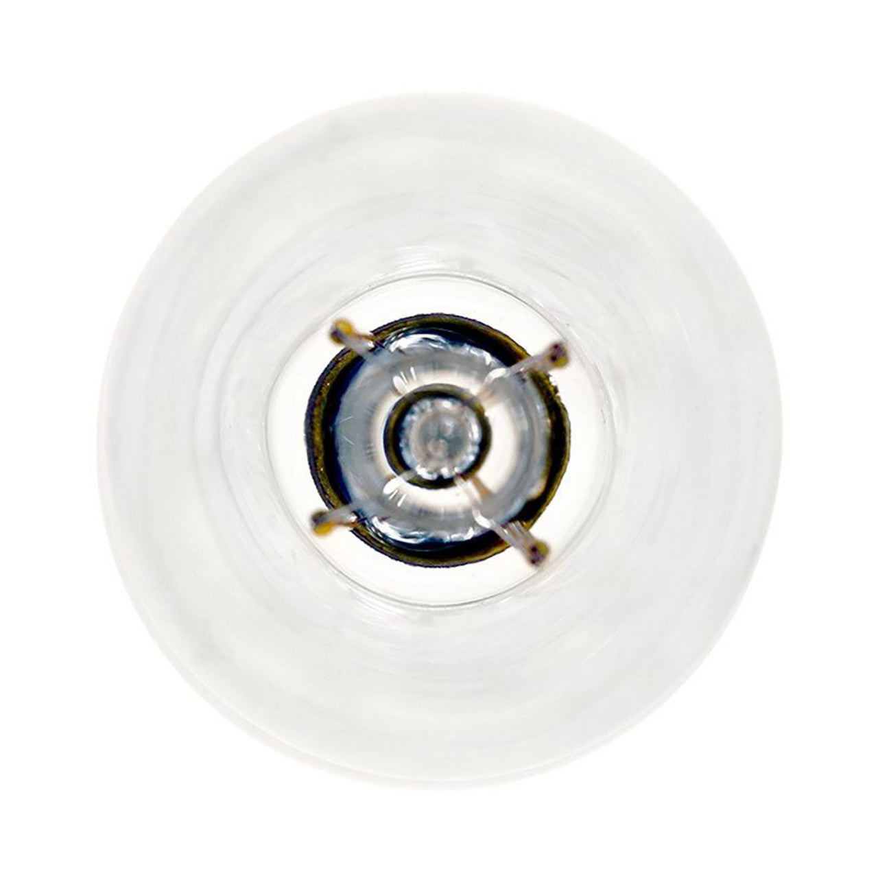LED ST19 Filament - 7W - Dimmable - 75W Equiv - 800 Lumens - 2700K - Euri Lighting
