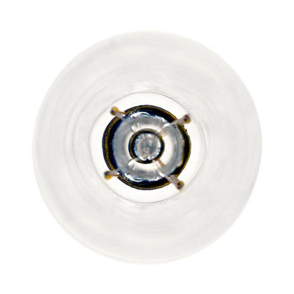 LED ST19 Filament - 7W - Dimmable - 75W Equiv - 800 Lumens - 2700K - Euri Lighting