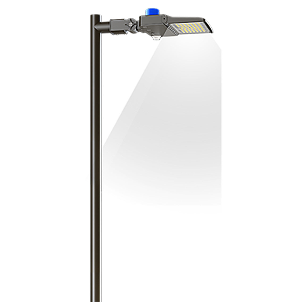 LED Area Light Shoebox - 100W